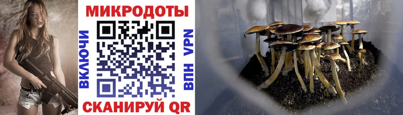 shop какой сайт  Кочубеевское  Галлюциногенные грибы GOLDEN TEACHER  наркота 